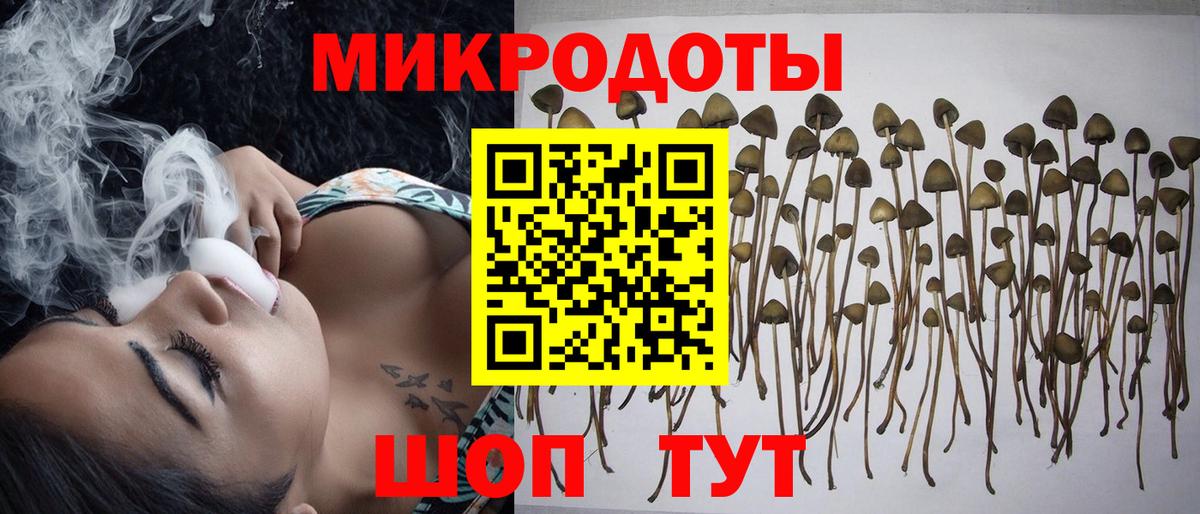 Псилоцибиновые грибы Magic Shrooms Чапаевск